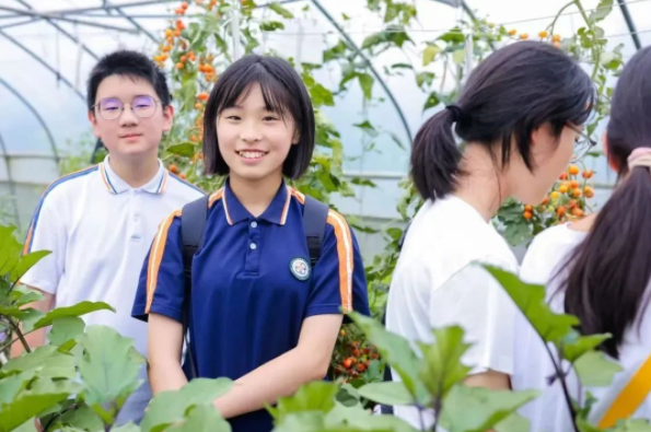 情境使命鼓舞学生运用科学探求工程规划和智能