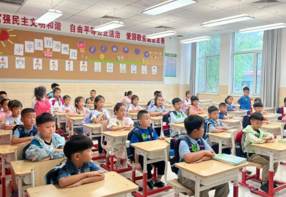 区域统筹校园主体技术支撑专家引领的教育数字