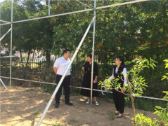征集建议面对面为种植户答疑解惑点对点进行精