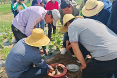 把有限的土地资源利用好村民有事干在家门口就