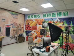 助农电商拓展农产品进市场渠道促使农户增加收