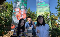 推进强村富民工作促进农村直播电商与第一产业