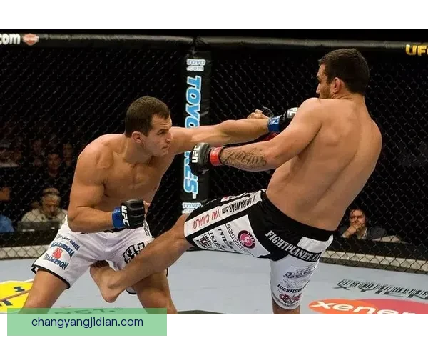 凯恩vs温顿世纪对决力量智慧与意志的终极较量全面解析